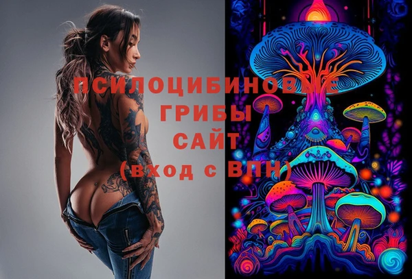 хмурый Балабаново