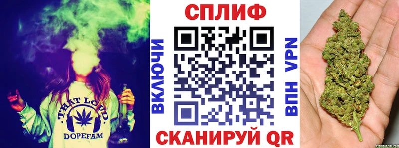 Купить где  Курганинск  Каннабис индика 